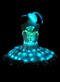 Led ballet tutu dress