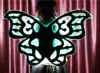 LED Luminous Wings